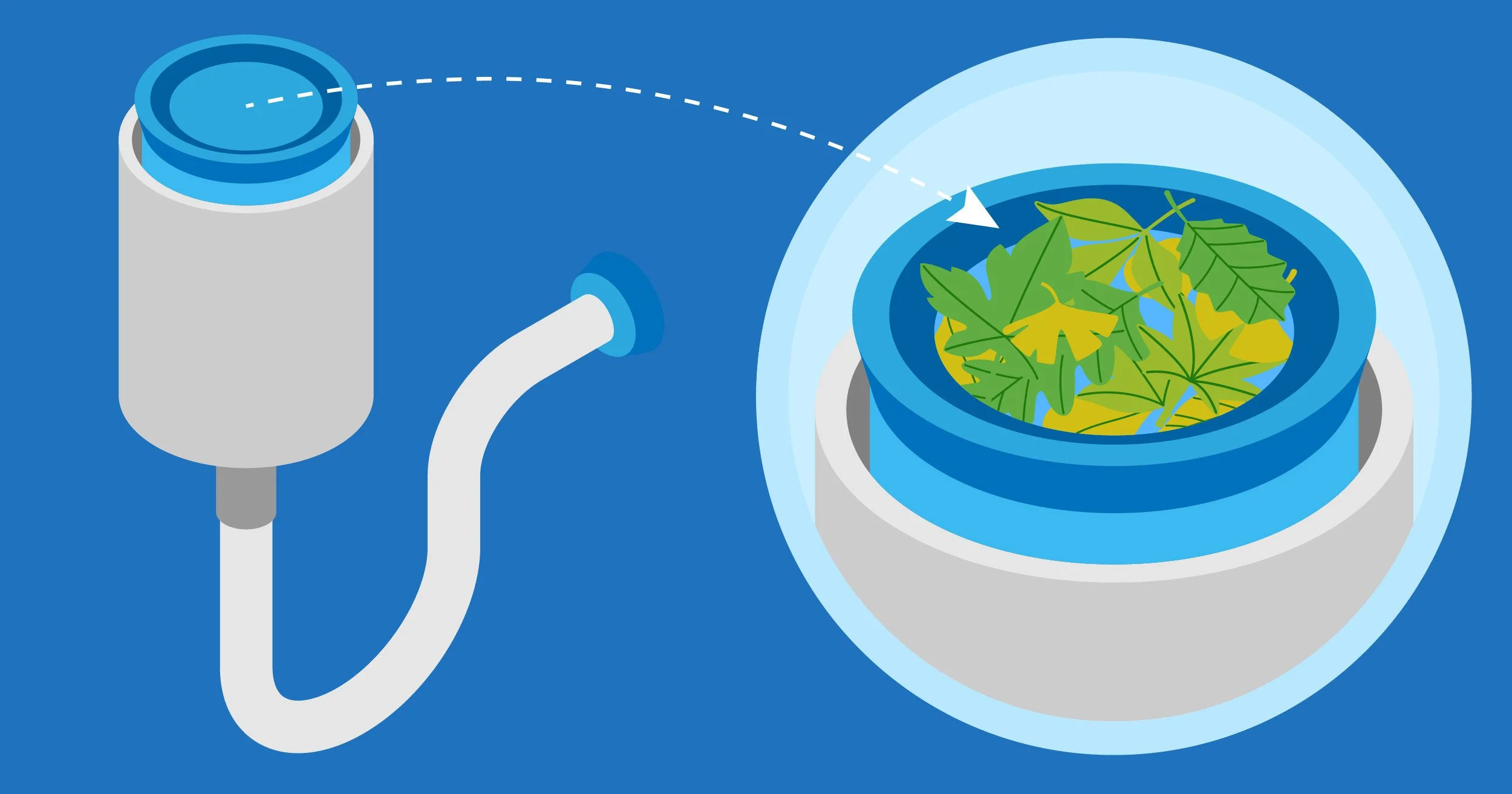 leaves blocking a pool pump