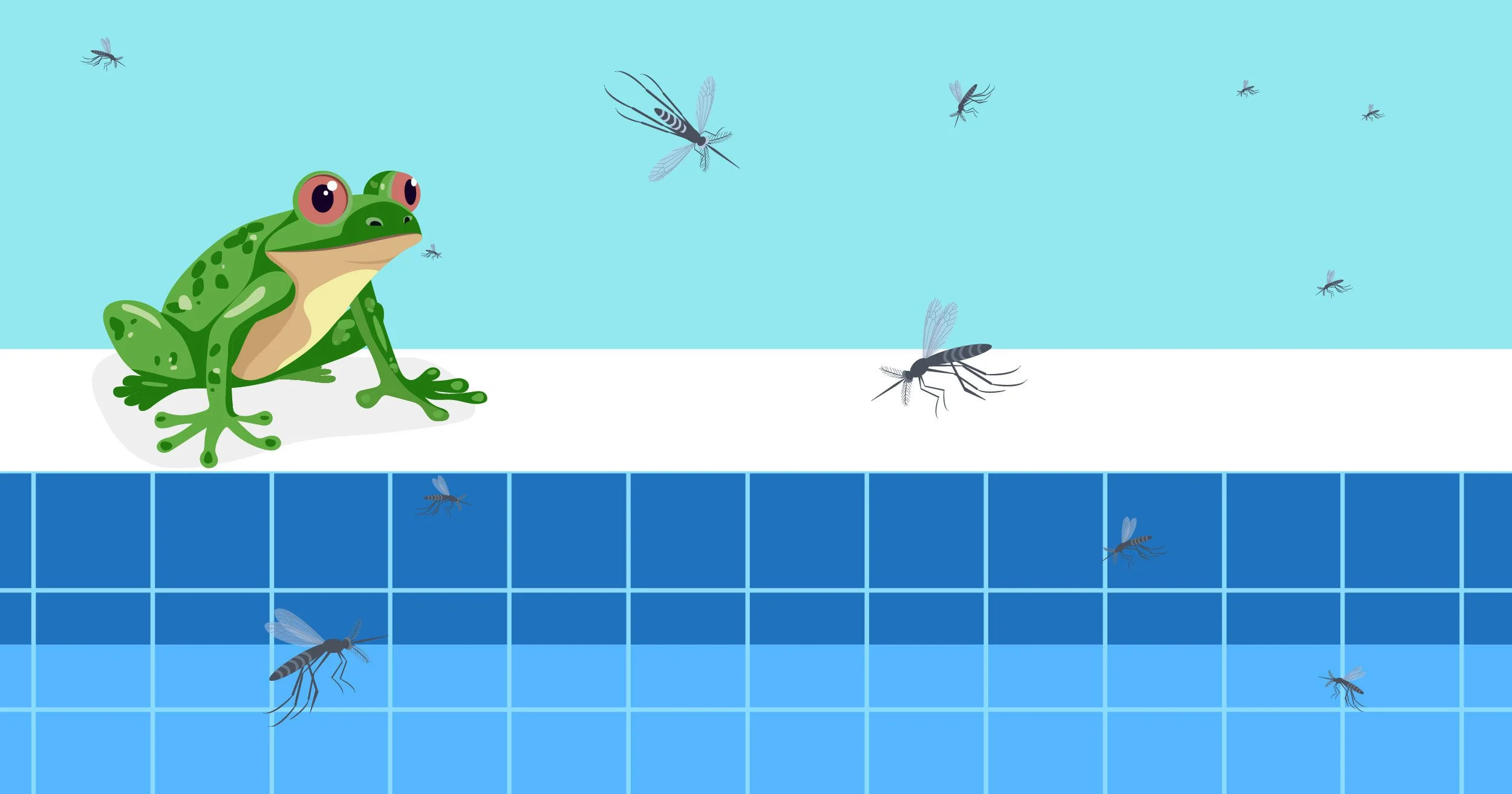 leaves in a pool encouraging pests